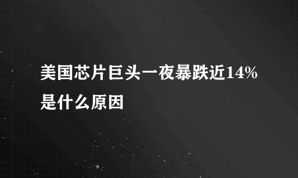 美国芯片巨头一夜暴跌近14%是什么原因