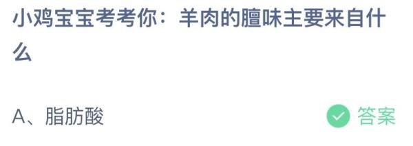 蚂蚁庄园：羊肉的膻味主要来自什么