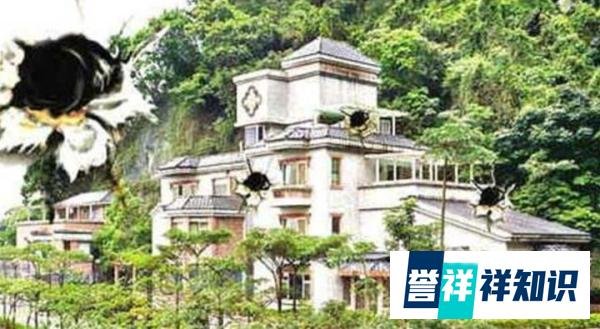 又出事!吴宗宪女儿咖啡店被砸,吴宗宪曾因赌债被乱枪扫射豪宅