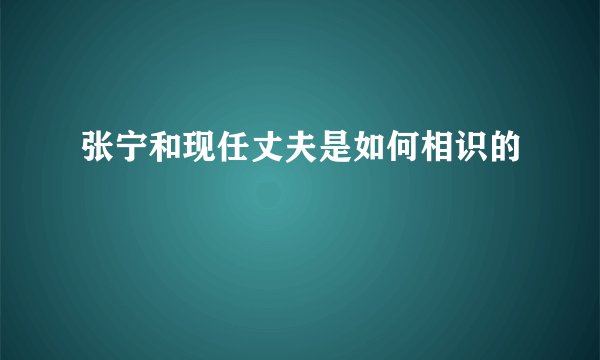 张宁和现任丈夫是如何相识的
