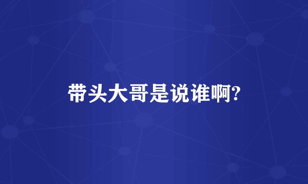 带头大哥是说谁啊?