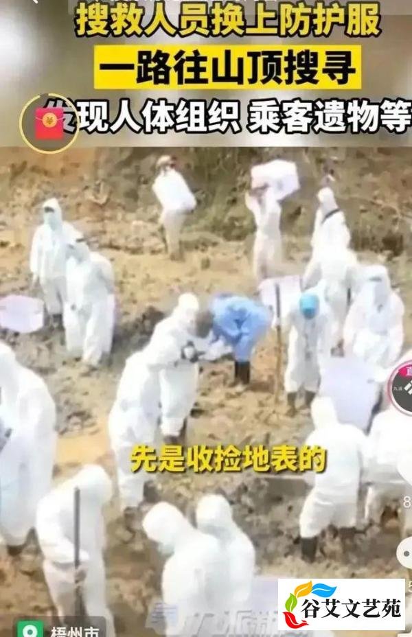 搜救出来的遗体残骸会怎么处理？