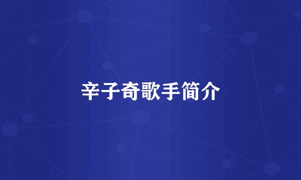 辛子奇歌手简介