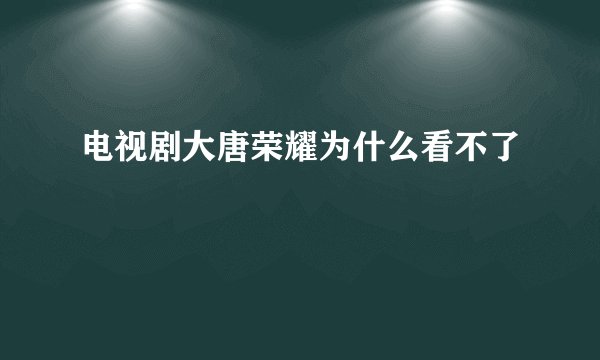 电视剧大唐荣耀为什么看不了