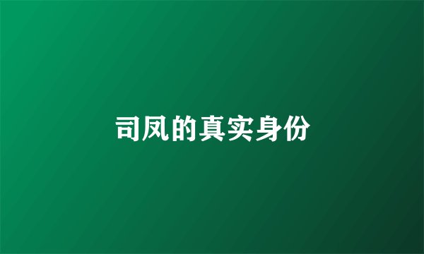 司凤的真实身份