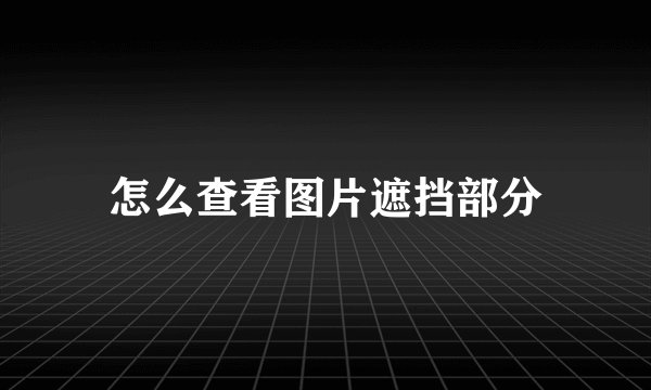 怎么查看图片遮挡部分