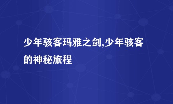少年骇客玛雅之剑,少年骇客的神秘旅程