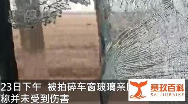 东北虎拍碎车窗亲历者发声 这是咋情况？