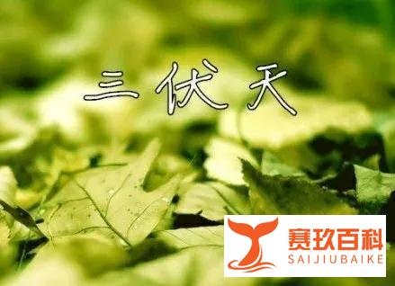今日夏至,2021年入伏时间表:啥时候入伏、出伏,共多少天?