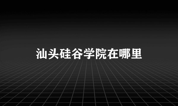 汕头硅谷学院在哪里