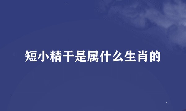 短小精干是属什么生肖的