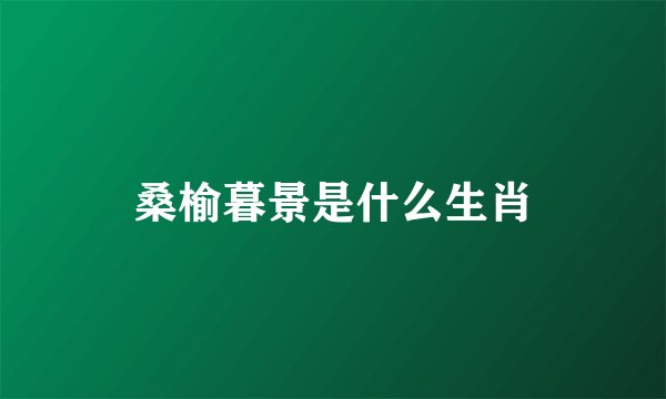 桑榆暮景是什么生肖