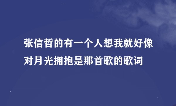 张信哲的有一个人想我就好像对月光拥抱是那首歌的歌词