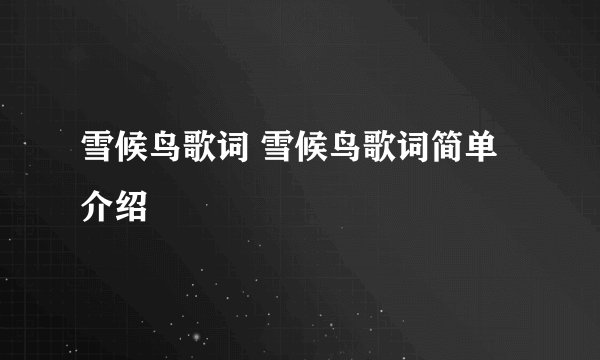 雪候鸟歌词 雪候鸟歌词简单介绍