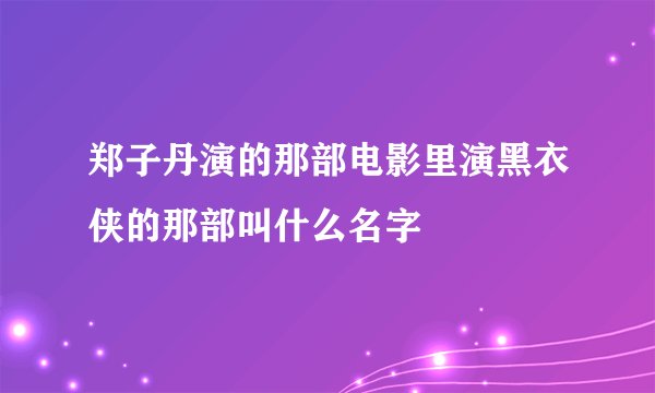 郑子丹演的那部电影里演黑衣侠的那部叫什么名字