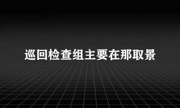 巡回检查组主要在那取景