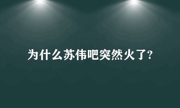 为什么苏伟吧突然火了?