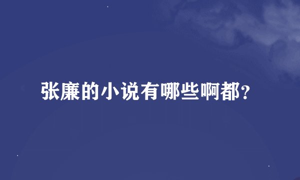 张廉的小说有哪些啊都？