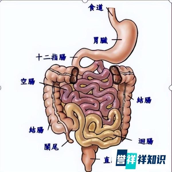 男子被高压枪往身体打气结果肠子爆了 网友：故意伤害