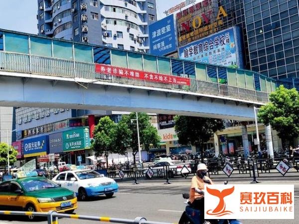 把糖果当保健品卖给老人 这些骗子成了“亿万富翁”