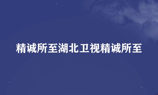 精诚所至湖北卫视精诚所至
