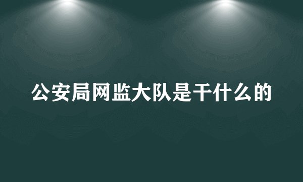 公安局网监大队是干什么的