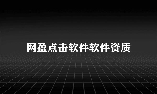 网盈点击软件软件资质
