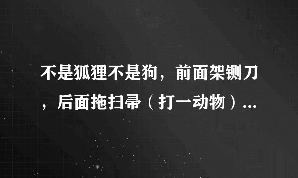 不是狐狸不是狗，前面架铡刀，后面拖扫帚（打一动物）谜底及原因