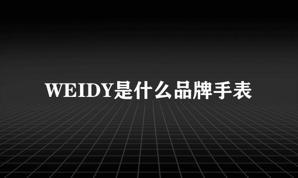 WEIDY是什么品牌手表