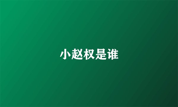 小赵权是谁