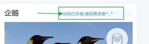 百度动物园怎么看直播，百度动物园怎么加入？