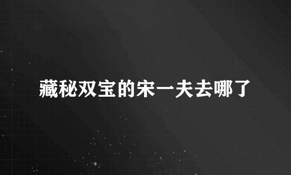 藏秘双宝的宋一夫去哪了