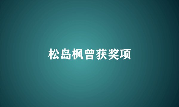 松岛枫曾获奖项