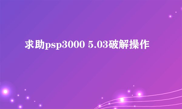 求助psp3000 5.03破解操作