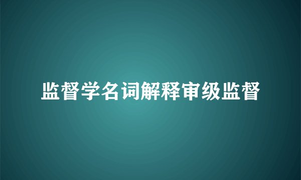 监督学名词解释审级监督