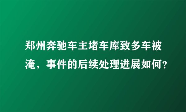 郑州奔驰车主堵车库致多车被淹，事件的后续处理进展如何？