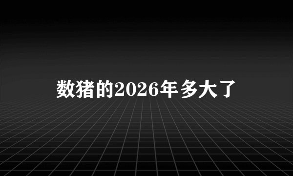 数猪的2026年多大了