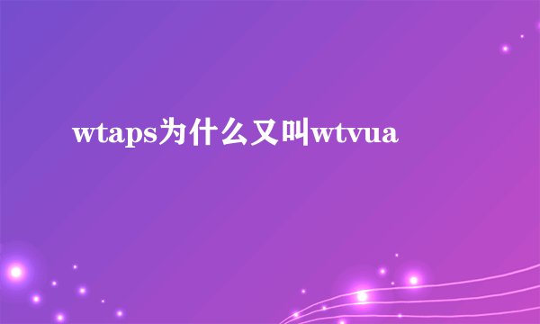 wtaps为什么又叫wtvua