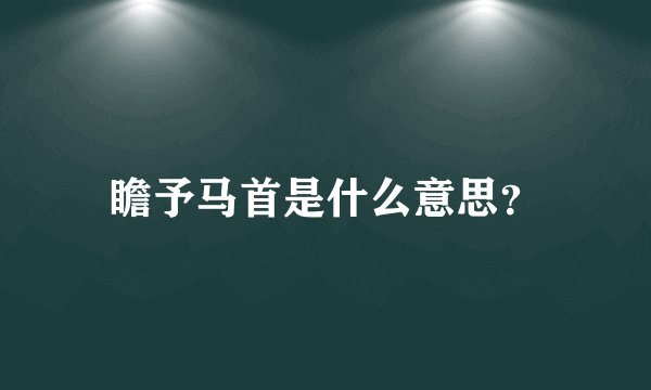 瞻予马首是什么意思？