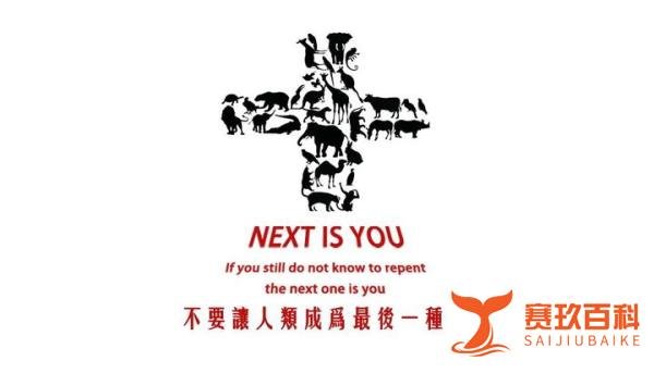 澳大利亚水火两重天,考拉宣布灭绝?