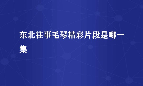 东北往事毛琴精彩片段是哪一集
