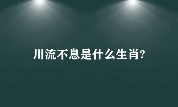 川流不息是什么生肖?