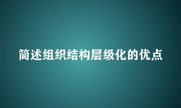简述组织结构层级化的优点