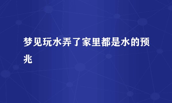 梦见玩水弄了家里都是水的预兆