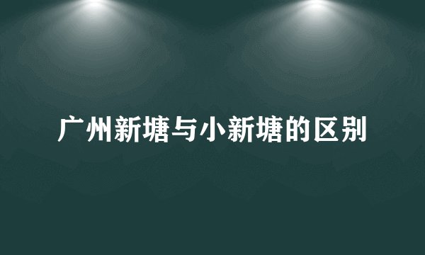 广州新塘与小新塘的区别
