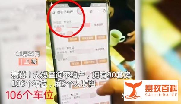 上海一大妈查询不动产，坐拥90套房106个车位，还雇了3个人收租播报文章