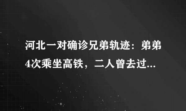 河北一对确诊兄弟轨迹：弟弟4次乘坐高铁，二人曾去过省儿童医院