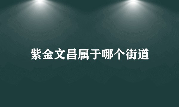 紫金文昌属于哪个街道