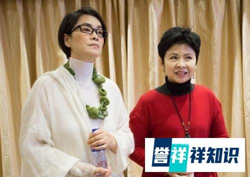 春晚走红的女歌手董文华功成名就，56岁的她却因病去世