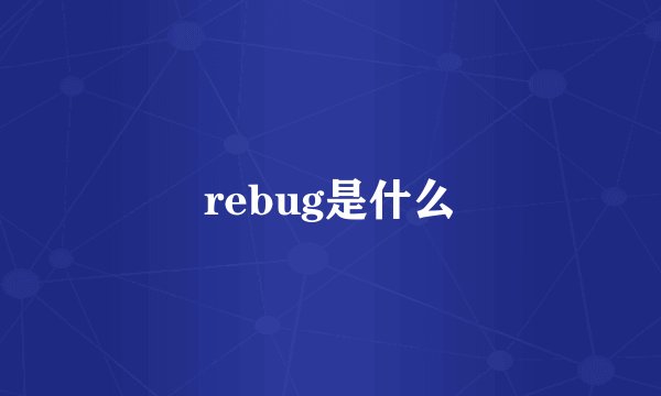 rebug是什么